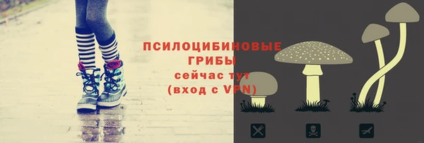 a pvp Аркадак