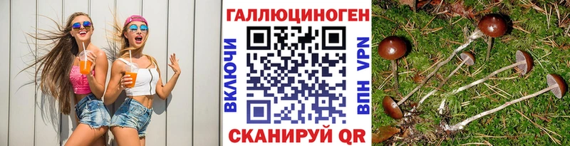 Псилоцибиновые грибы прущие грибы  Майкоп 