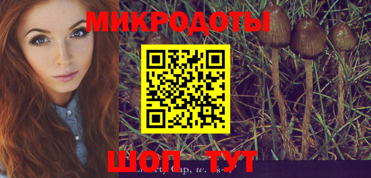 Псилоцибиновые грибы Psilocybine cubensis  Галлюциногенные грибы Magic Shrooms  Майкоп  Вход с VPN 
