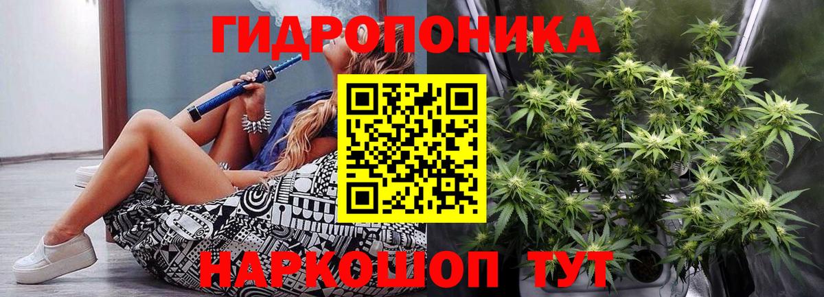 Каннабис планчик Майкоп